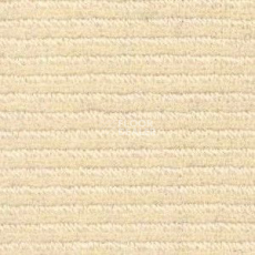 Ковролин Radici Solo Ivory 7000 фото 1 | FLOORDEALER